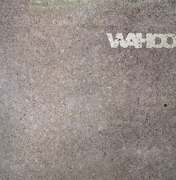 Wahoo - Take Over Me / Make 'Em Shake It | Sonar Kollektiv (SK038) - main Wahoo - Take Over Me / Make 'Em Shake It | Sonar Kollektiv (SK038) - main