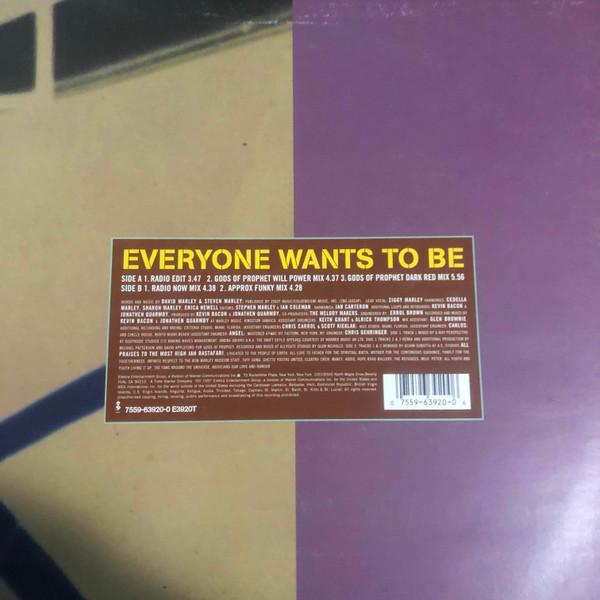 Ziggy Marley & The Melody Makers - Everyone Wants To Be | Elektra (7559-63920-0) - 2