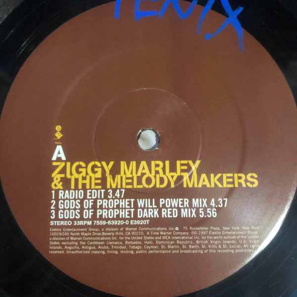 Ziggy Marley & The Melody Makers - Everyone Wants To Be | Elektra (7559-63920-0) - 3