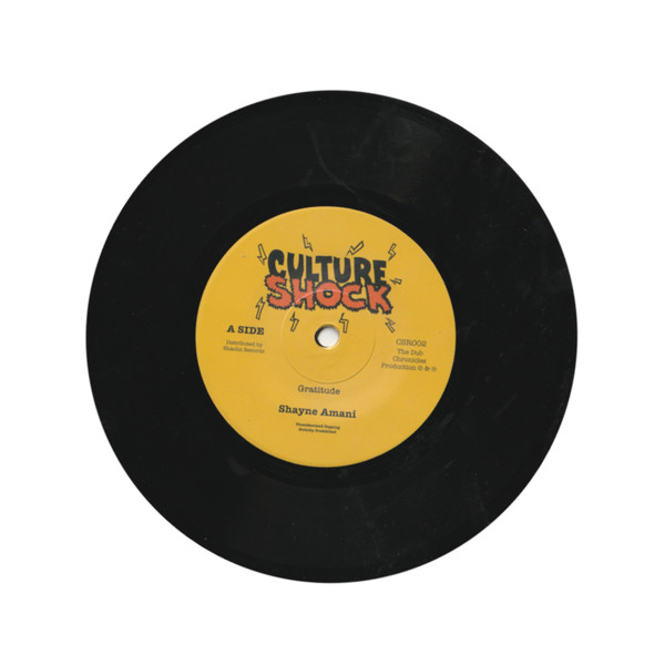 Shayne Amani / The Dub Chronicles - Gratitude | Culture Shock (CSR002)