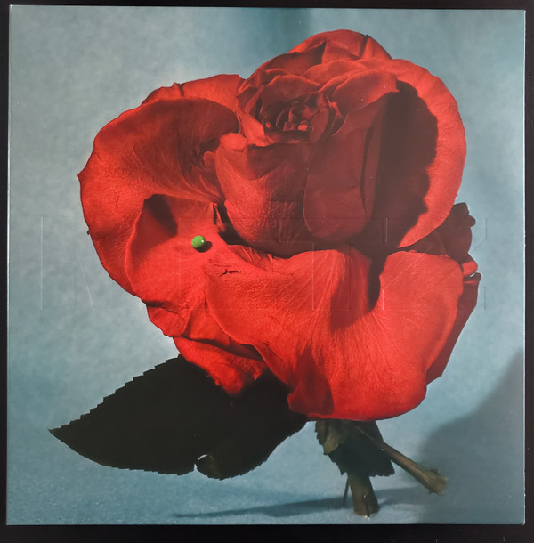 Metz - Up On Gravity Hill | Dine Alone Records (DAV359) - main Metz - Up On Gravity Hill | Dine Alone Records (DAV359) - main