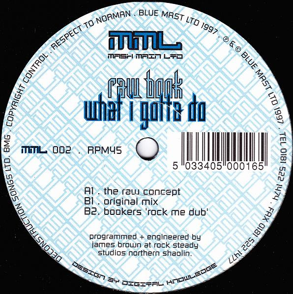 Raw Book - What I Gotta Do | MML (MML 002) - main