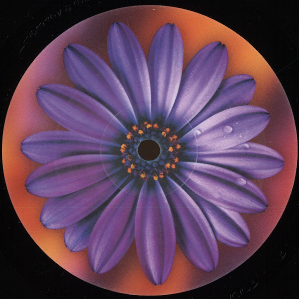 Clarence Wu - Here | HUA3000 (FLOWER3)