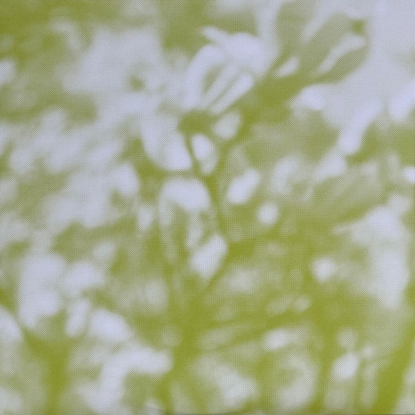 Tara Clerkin Trio - In Spring | World Of Echo (WOE004) - 3 Tara Clerkin Trio - In Spring | World Of Echo (WOE004) - 3