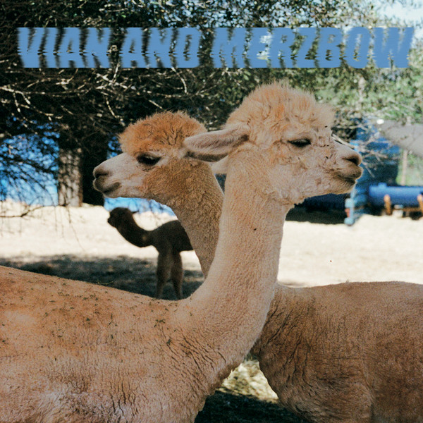 Vian And Merzbow - Inside Richard Serra Sculptures | Modern Obscure Music (MOM048) - main Vian And Merzbow - Inside Richard Serra Sculptures | Modern Obscure Music (MOM048) - main