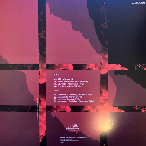 Various - Artificial Intelligence™ | Artificial Intelligence (AI005) - 2 Various - Artificial Intelligence™ | Artificial Intelligence (AI005) - 2