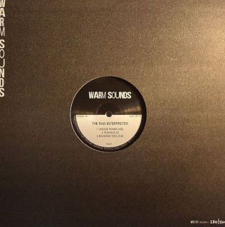 The Raw Interpreter - Vintage Power | Warm Sounds (WS-001) - 3 The Raw Interpreter - Vintage Power | Warm Sounds (WS-001) - 3