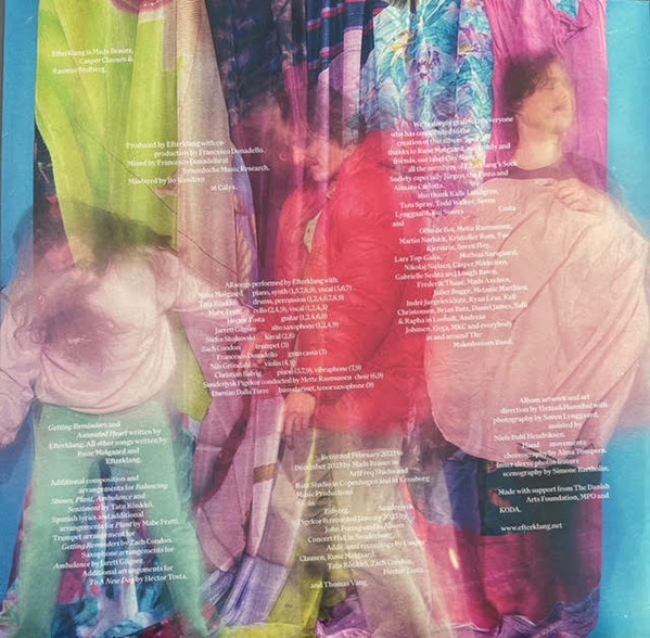 Efterklang - Things We Have In Common | City Slang (SLANG50581LP) - 4 Efterklang - Things We Have In Common | City Slang (SLANG50581LP) - 4