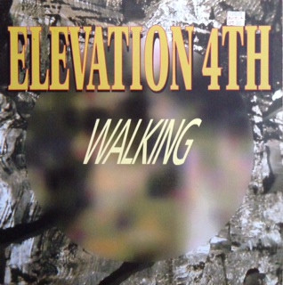 Elevation 4th - Walking | ZYX Records (ZYX 6549-12) - main Elevation 4th - Walking | ZYX Records (ZYX 6549-12) - main