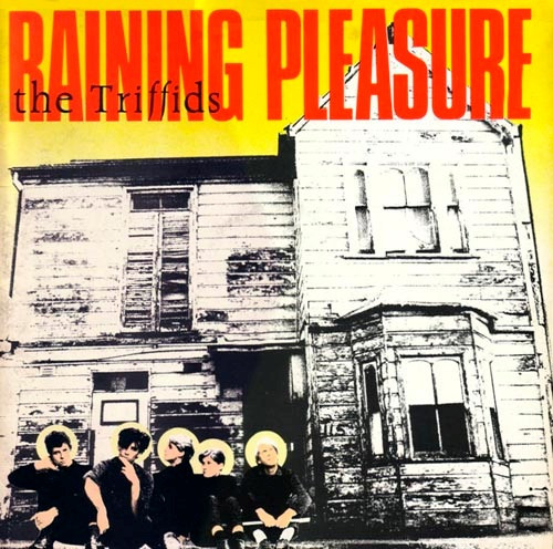 The Triffids - Raining Pleasure | Hot Records (MINIHOT 1)