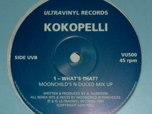 Kokopelli - What's That? | Ultra Vinyl (VU500) - 2