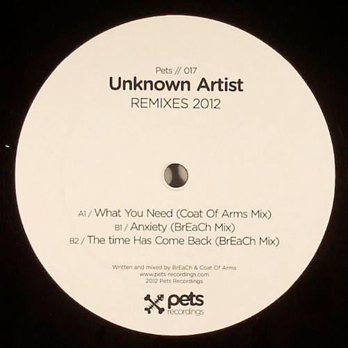Unknown Artist - Remixes 2012 | Pets Recordings (PETS017) - main Unknown Artist - Remixes 2012 | Pets Recordings (PETS017) - main