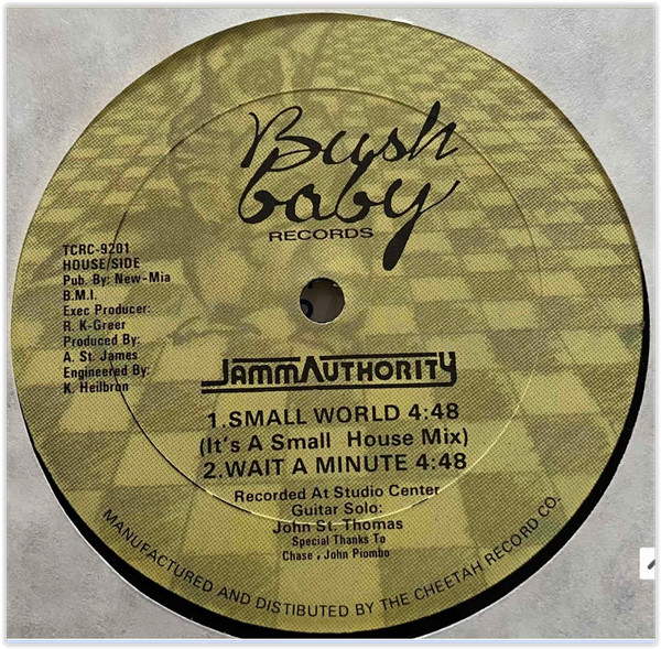 Jamm Authority - Small World | Bush Baby Records (TCRC-9201) - 2