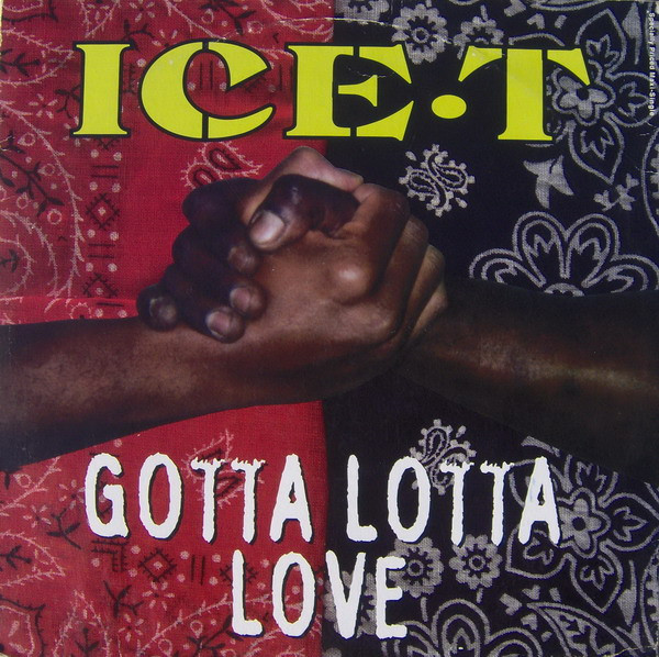 Ice-T - Gotta Lotta Love | Sire (0-40737) - main Ice-T - Gotta Lotta Love | Sire (0-40737) - main
