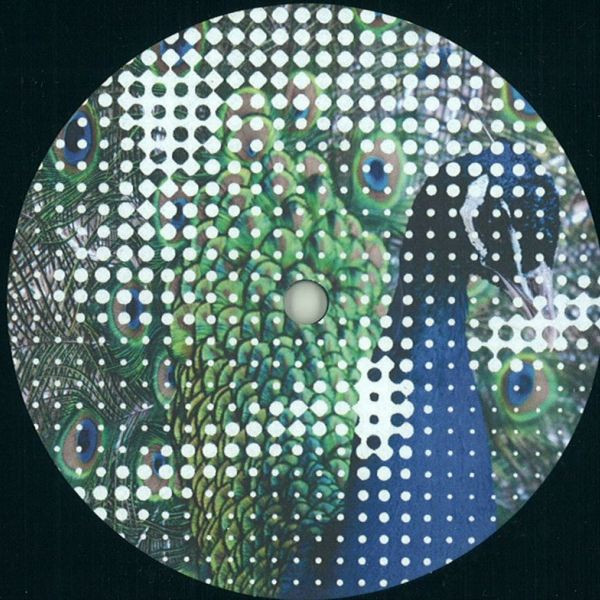 Martin Dawson and Glimpse - Wildlife | Leftroom Limited (LEFTLTD 021) - 2 Martin Dawson and Glimpse - Wildlife | Leftroom Limited (LEFTLTD 021) - 2