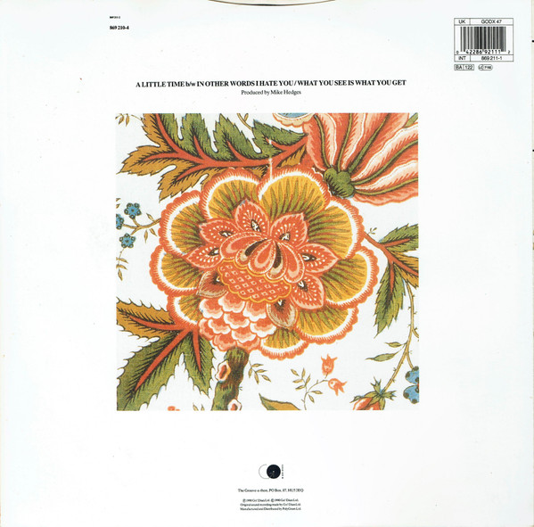 The Beautiful South - A Little Time | Go! Discs (GODX 47) - 2 The Beautiful South - A Little Time | Go! Discs (GODX 47) - 2