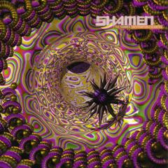 The Shamen - Destination Eschaton | Epic Dance (49 78038) - main The Shamen - Destination Eschaton | Epic Dance (49 78038) - main