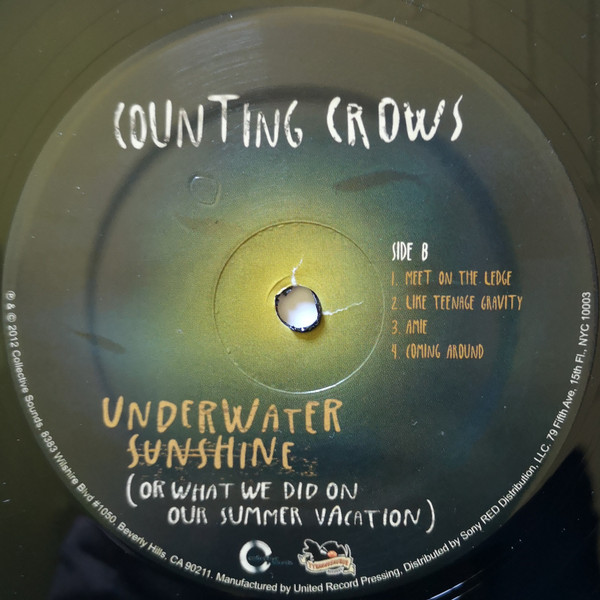 Underwater Sunshine (Or What We Did On Our Summer Vacation)