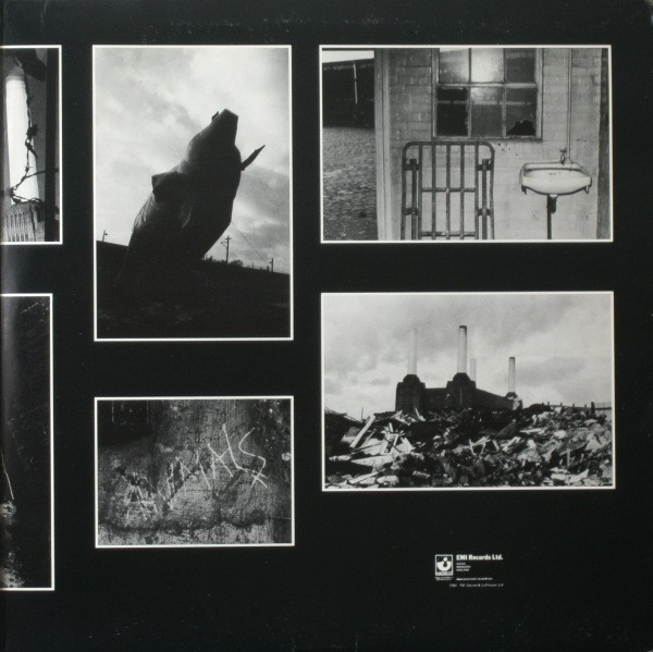 Animals