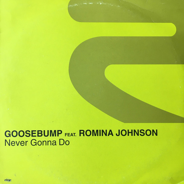 Never Gonna Do