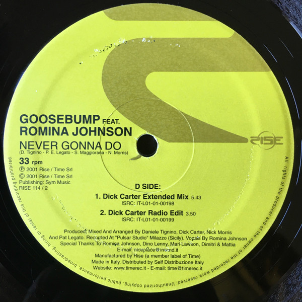 Never Gonna Do