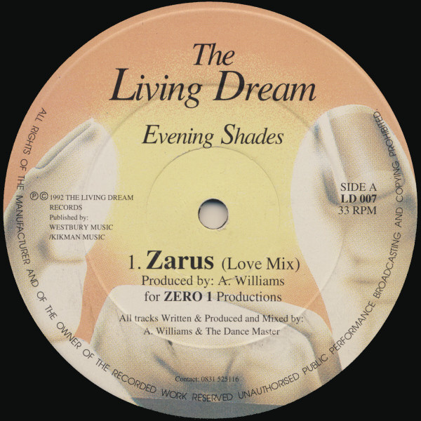 Zarus / The Groove Desired