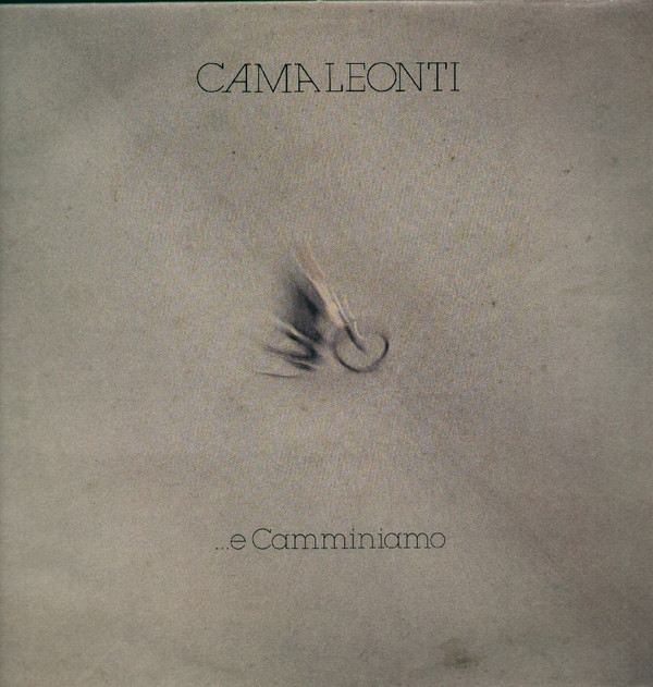 I Camaleonti - ...E Camminiamo | Durium (Ms AI 77408) - main
