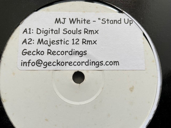 MJ White Featuring Ministry In Music - Stand Up | Gecko Recordings (GECK001)