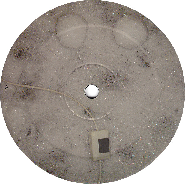 Simian Mobile Disco / Dieter Schmidt - The Count / Morse Code From The Cold War | Kitsuné Music (Kitsuné Music 020) - 4 Simian Mobile Disco / Dieter Schmidt - The Count / Morse Code From The Cold War | Kitsuné Music (Kitsuné Music 020) - 4