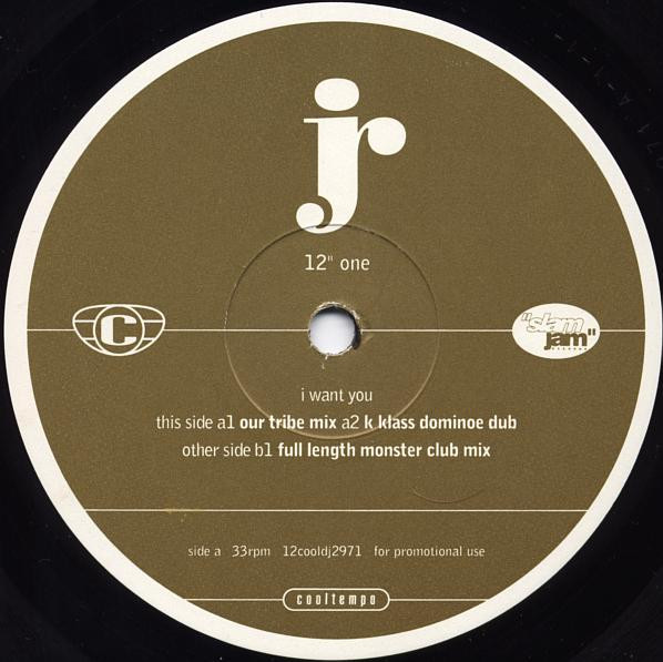 Juliet Roberts - I Want You | Cooltempo (12cooldj2971) - 2