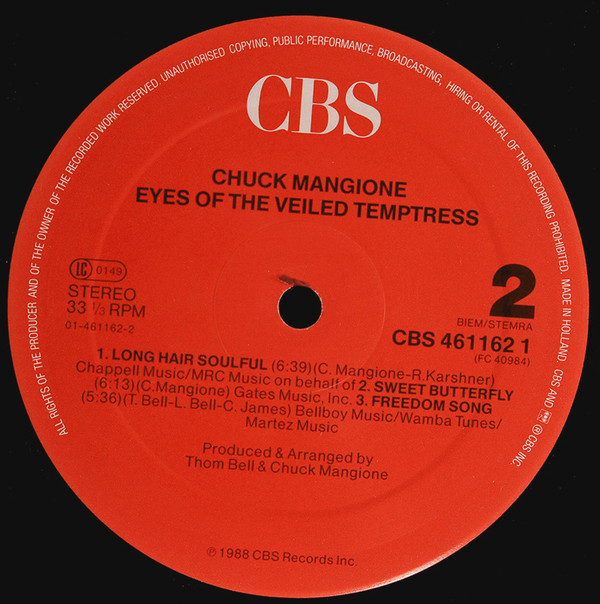 Eyes Of The Veiled Temptress