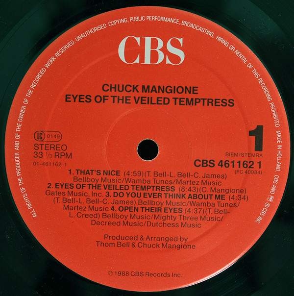 Eyes Of The Veiled Temptress