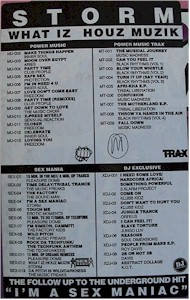 Storm Bryant - What Iz Houz Muzik | Sex Mania (SEX-012) - 2