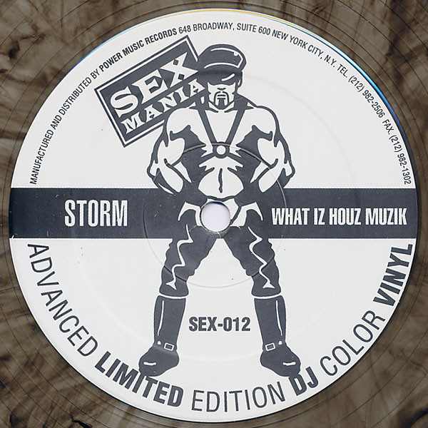 Storm Bryant - What Iz Houz Muzik | Sex Mania (SEX-012) - 4