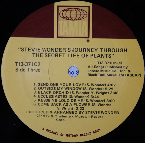 Journey Through The Secret Life Of Plants