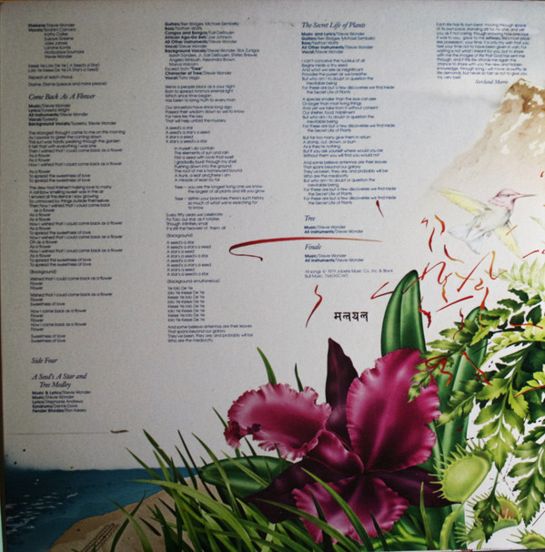 Journey Through The Secret Life Of Plants