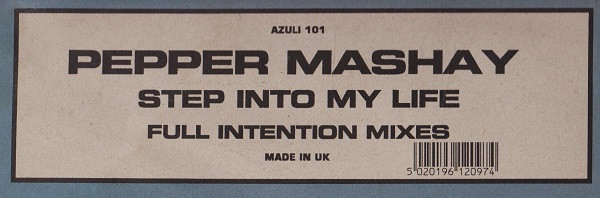Step Into My Life (Full Intention Mixes)