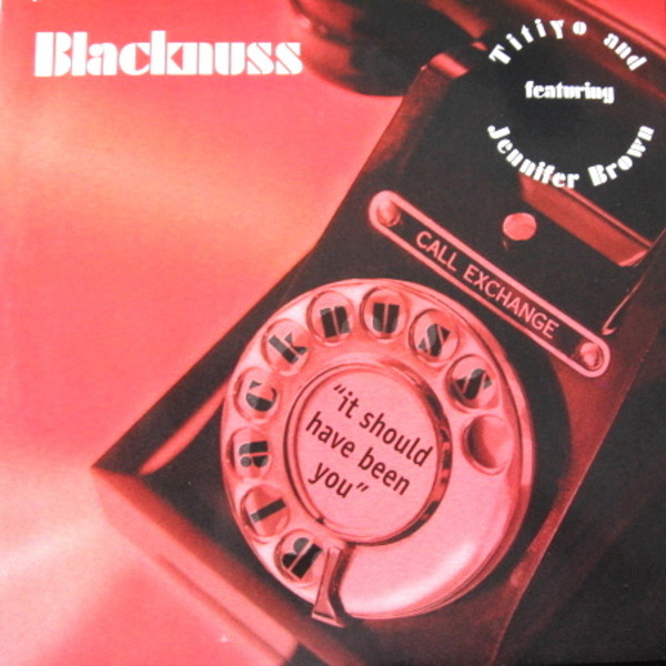 Blacknuss Featuring Titiyo And Jennifer Brown - It Should Have Been You | Sidestep Records (SSR12004) - main