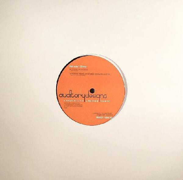 Analogik - So Many Musicians | Auditorydesigns (AD002EP) - 2 Analogik - So Many Musicians | Auditorydesigns (AD002EP) - 2