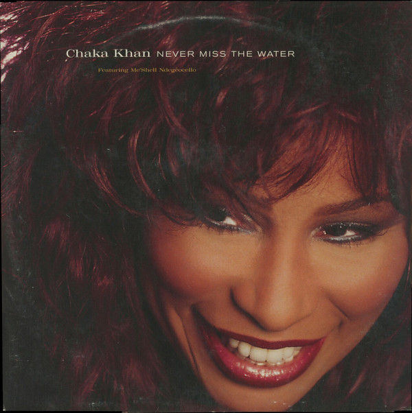 Chaka Khan  &  Me'Shell NdegéOcello - Never Miss The Water | Reprise Records (0-43787)