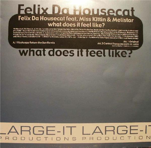 Felix Da Housecat - What Does It Feel Like? | Large-IT Productions (LGT 8019) - main