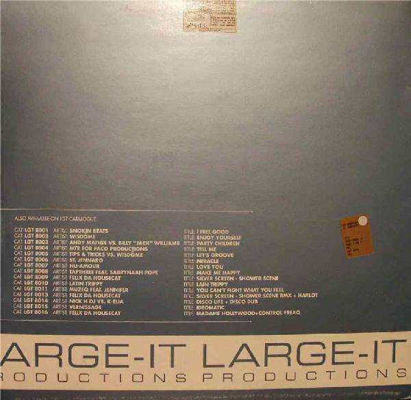 Felix Da Housecat - What Does It Feel Like? | Large-IT Productions (LGT 8019) - 2