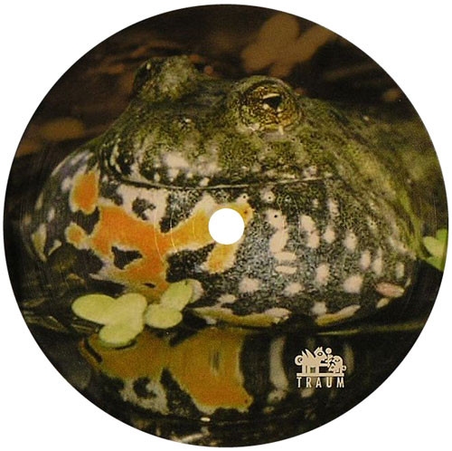 Dominik Eulberg - Rotbauchunken Remixe | Traum Schallplatten (TRAUM V58) - 2 Dominik Eulberg - Rotbauchunken Remixe | Traum Schallplatten (TRAUM V58) - 2