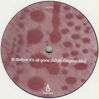Robert Manos - Before It's All Gone | Truesoul (TRUE1207) - 2