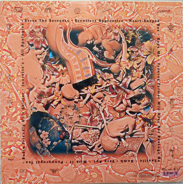 Nirvana - In Utero | Geffen Records (GEF 24536) - 2