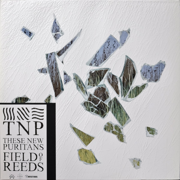 Field Of Reeds