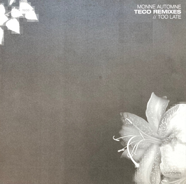 Monne Automne - Teco Remixes / Too Late | Lo-Fi Stereo (LOFI STEREO #036) - main