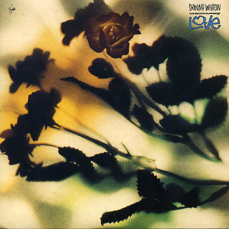 Danny Wilson - The Second Summer Of Love | Virgin (VST 1186)