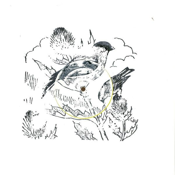 goldFFinch - Remixes | Audio Culture (ACLBL009) - main