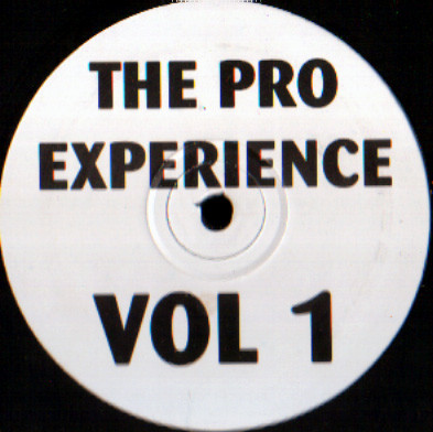 Unknown Artist - The Pro Experience Vol 1 | Not On Label (OVER 2)
